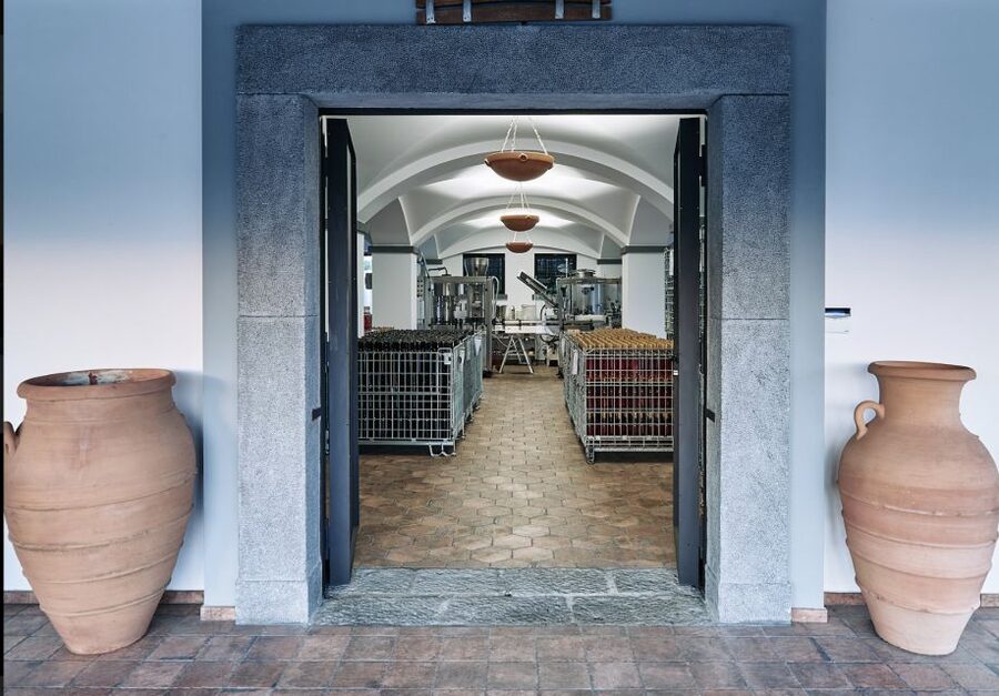 Mount Vesuvius: Vineyard Tour with Wine Tasting and Lunch - My booking checklist before you go