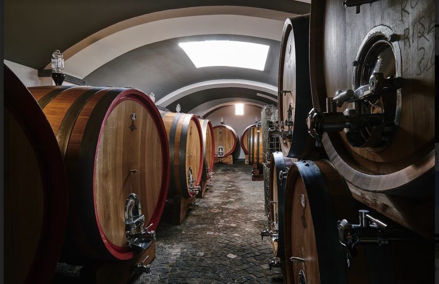 Mount Vesuvius: Vineyard Tour with Wine Tasting and Lunch - Lunch with Vesuvius views: local flavors you can actually taste