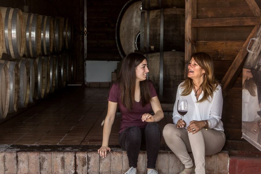 Mount Vesuvius: Vineyard Tour with Wine Tasting and Lunch - Why the views matter more than you think