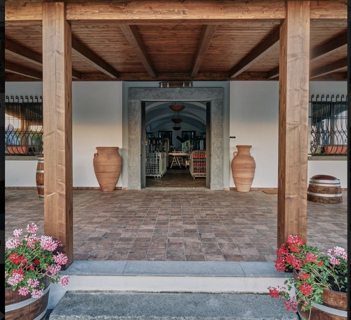 Mount Vesuvius: Vineyard Tour with Wine Tasting and Lunch - Price and value: is $65 per person a good deal here?