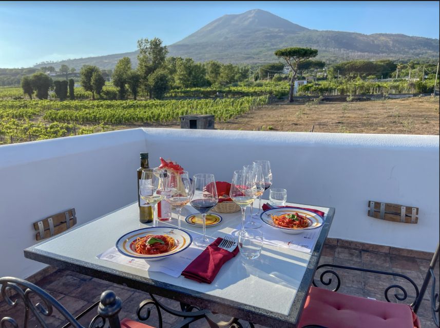 Mount Vesuvius: Vineyard Tour with Wine Tasting and Lunch - Who should book (and who should skip)