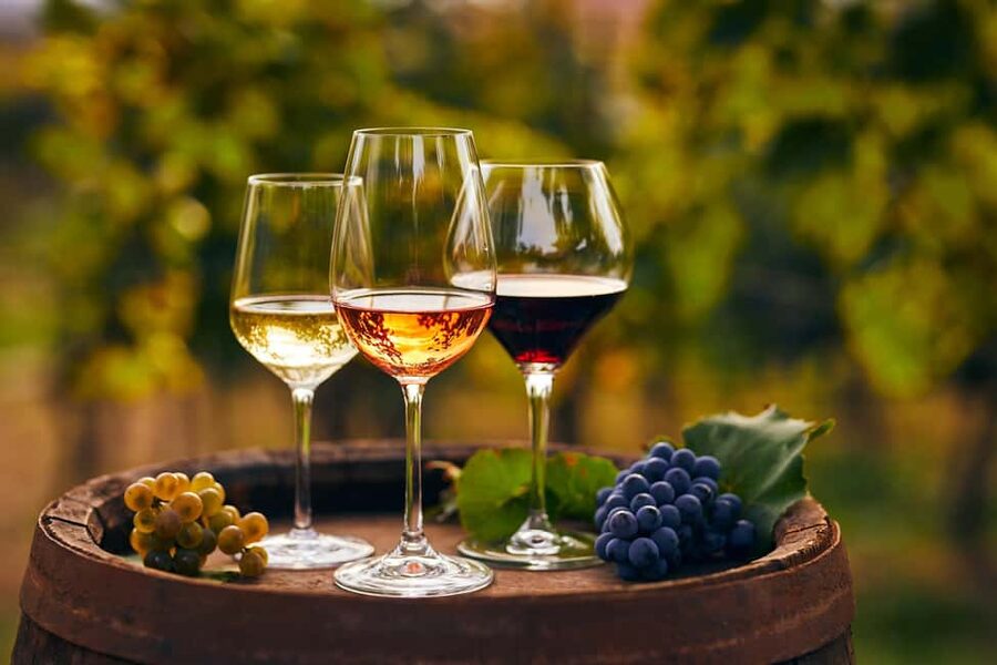 Mount Vesuvius Wine Tasting and Lunch from Pompeii - Meeting point at Via Villa dei Misteri 1 and what to watch for