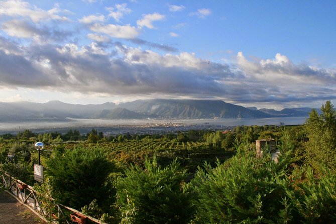 Mt. Vesuvius Wine Tasting and Lunch Experience from Pompeii - Getting to the Winery: Round-Trip Transport From Via Villa dei Misteri