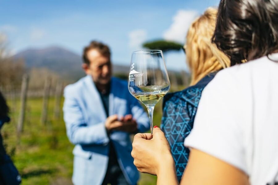 Naples: Pompeii and Mt. Vesuvius with Lunch and Wine Tasting - Pompeii and Vesuvius in One Day: The Key Reasons This Tour Feels Efficient