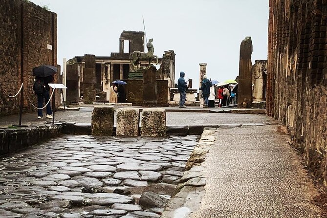 Once upon a time Pompeii 2 and a half hour tour - Getting your bearings fast at Pompeii