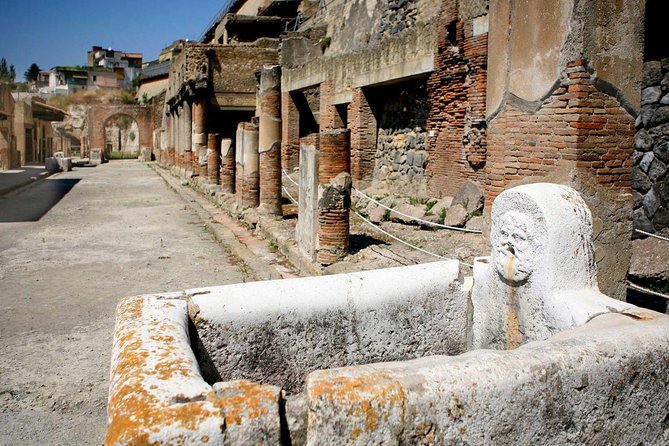 Pompeii 2 h guided tour - Skip-the-line Priority Access - What You Get in 2 Hours in Pompeii