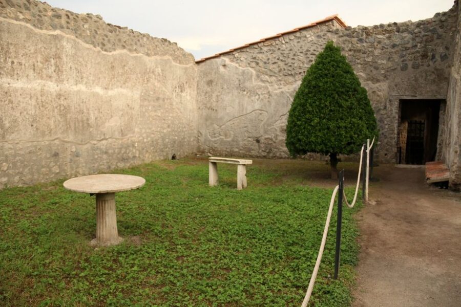 Pompeii 2-Hour Private Tour - Rich houses: living like you own the walls