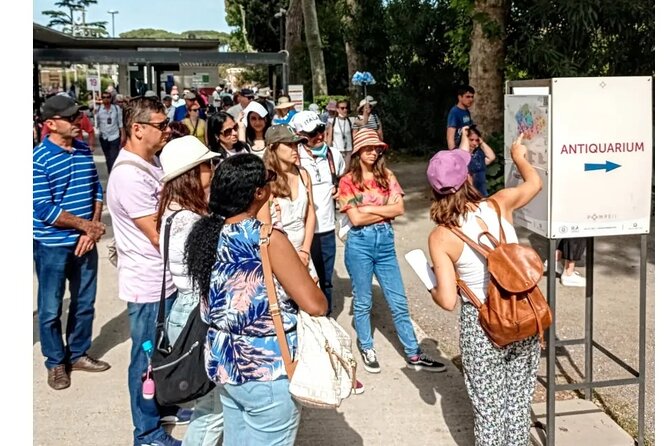 Pompeii 2 hours Private guided tour, A JOURNEY THROUGH THE TIME - Walking in the sun: the main consideration for comfort