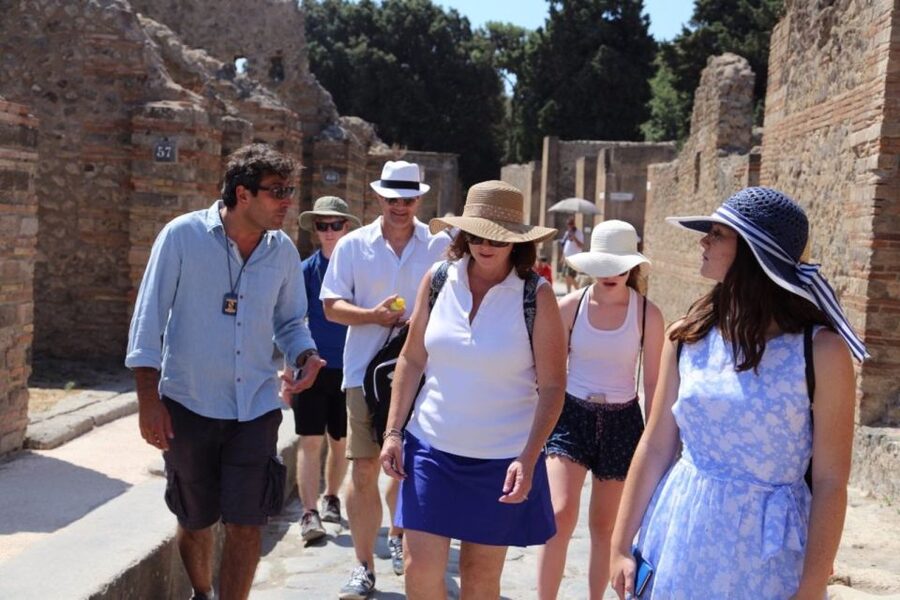 Pompeii 3-Hour Walking Tour - Elite Houses: Menander, Faun, Vettii, and the Private Side of Pompeii