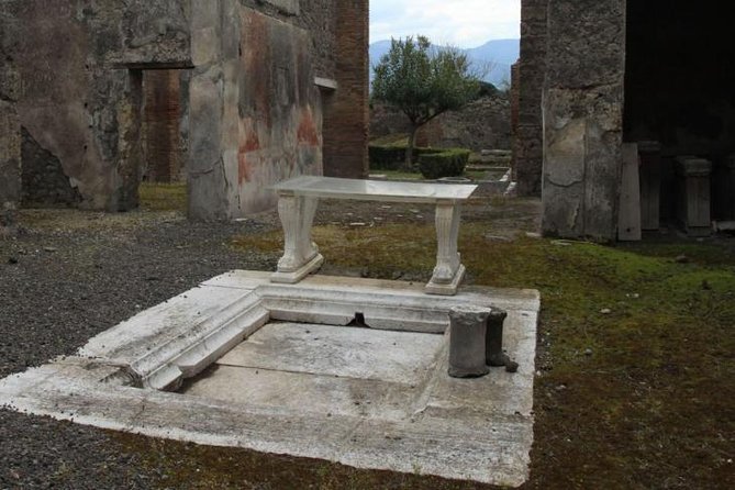 Pompeii and Amalfi Coast Port Tour (Driver Only/Self Touring) - Sorrento and Marina Grande: Lunch by the Sea, Plus Time for Limoncello
