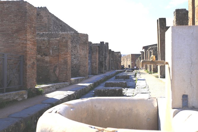 Pompeii and Herculaneum Private Tour with Native Guide and Skip the Line Tickets - Herculaneum After Pompeii: A Different Feel for the Same Tragedy