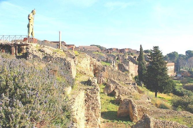 Pompeii and Herculaneum Private Tour with Native Guide and Skip the Line Tickets - Price and Value at $431.33 Per Person: What You’re Paying For