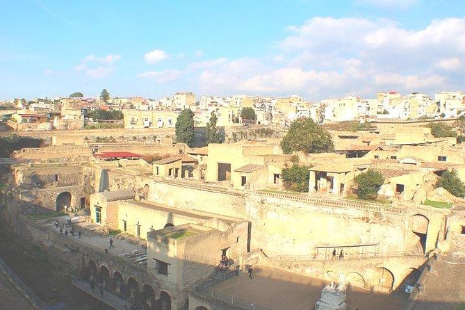 Pompeii and Herculaneum Private Tour with Native Guide and Skip the Line Tickets - Skip-the-Line Tickets and Private Guidance: Time Back for the Ruins