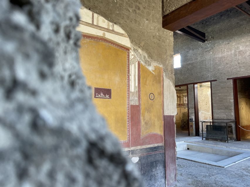 Pompeii and House of Vettii Guided Tour - How the Guide Turns Ruins Into Daily Life