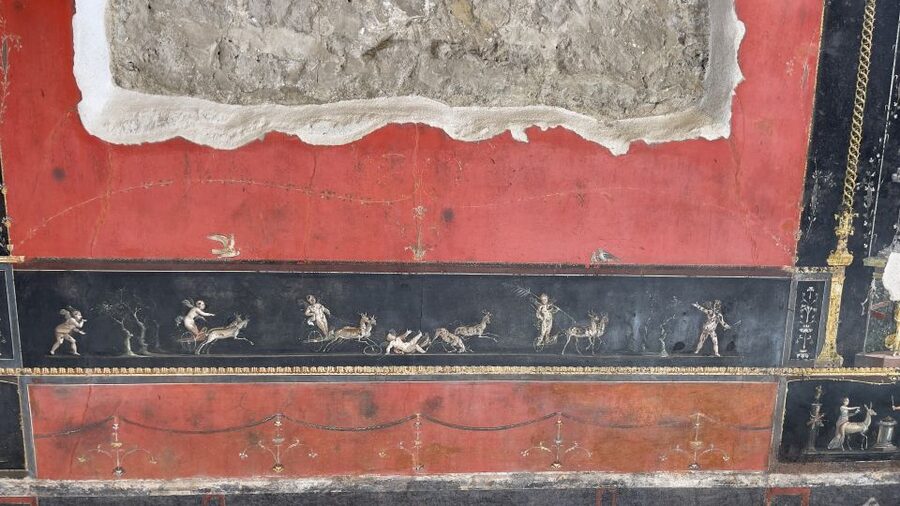 Pompeii and House of Vettii Guided Tour - Price and Value: Is $49 Worth It?