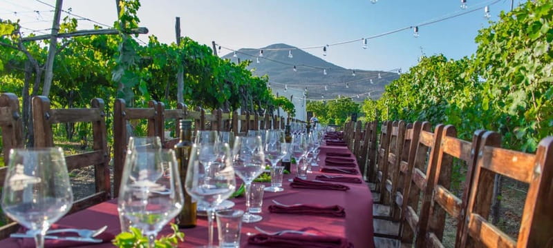 Pompeii and Vesuvius Cellars: Tour with Pick-Up in Positano - Key things to know before you go