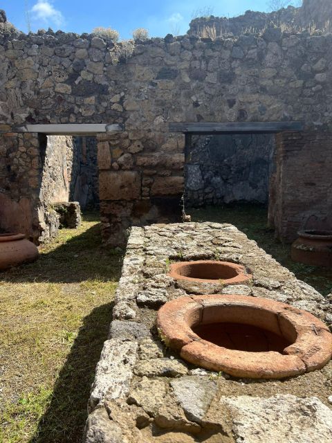 Pompeii and Vesuvius Cellars: Tour with Pick-Up in Positano - Should you book Pompeii and Vesuvius Cellars from Positano?