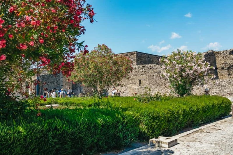 Pompeii: Archaeological Park Tour with Ticket on request - Meeting the Guide at Circumvesuviana (Don’t Overthink It)