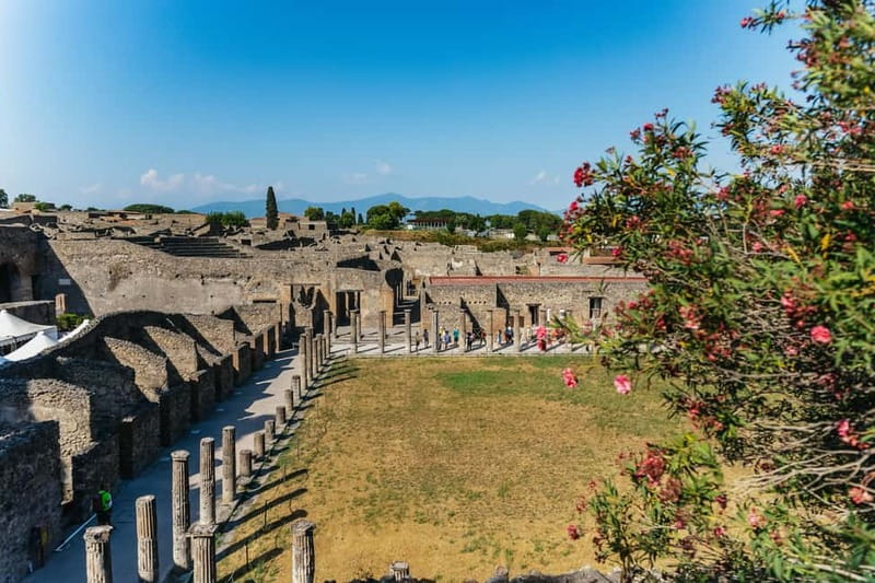 Pompeii: Archaeological Park Tour with Ticket on request - How the Skip-the-Line Ticket Actually Helps You