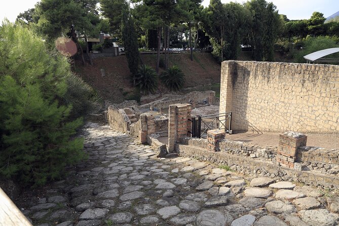 Pompeii Day Tour - Guides, audio guides, and language options that matter
