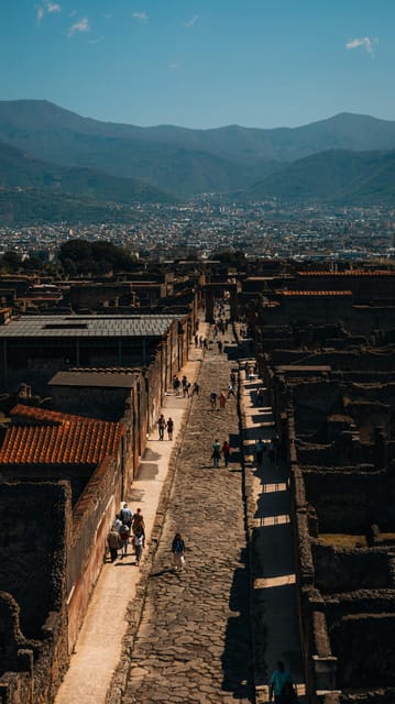 Pompeii: Entrance Ticket - Skip the Line - Wheelchair Accessibility: What This Ticket Says—and What You Should Prepare