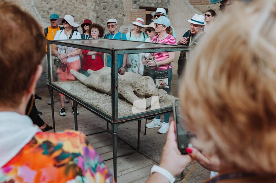 Pompeii: Entry Ticket and Guided Tour with an Archaeologist - Foro Civile di Pompei: civic space in plain view