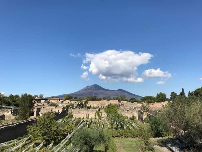 Pompeii: Exclusive Tour with Archaeologist and Entry Tickets - Getting In Fast at Porta Marina (and finding your guide)