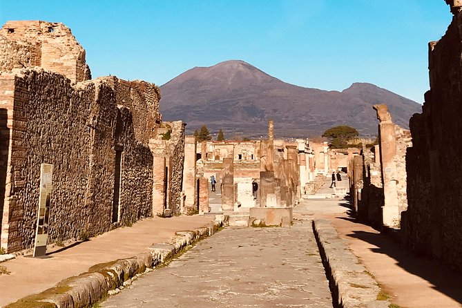 PompeiI Exclusive Tour with your Archaeologist in a Small Group - Macellum market to Forum Baths: how people ate, shopped, and cleaned up