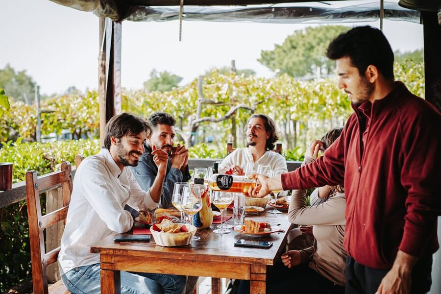 Pompeii: Guided Day Trip to Ruins and 2 Wineries Visits - Mount Vesuvius tasting stop: the volcanic-soil flavor idea