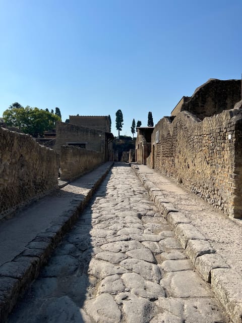 Pompeii Guided Experience - Tour Service Only - What the guide adds to Pompeii’s ruins