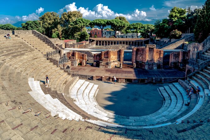 Pompeii guided group tour plus entry ticket - Should You Book This Guided Pompeii Tour?