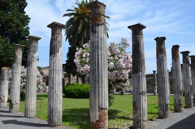 Pompeii: Guided Small Group Tour Max 6 People with Private Option - The Houses That Feel Like Real Life: Menander, Gladiators, Vettii Lupanar