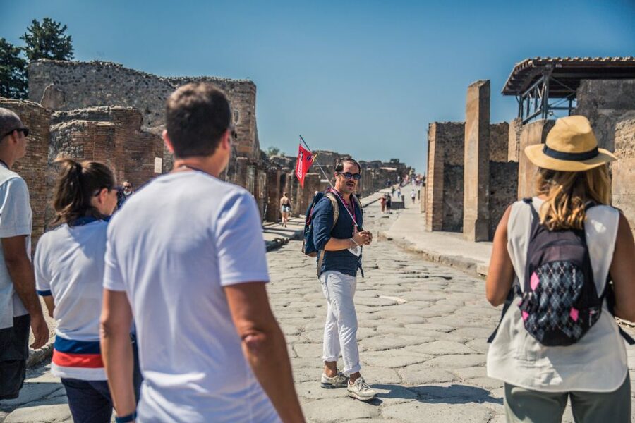 Pompeii: Guided Tour and Skip-the-Line Ticket - House of the Faun and the Alexander Mosaic: Wealth, Art, and Status