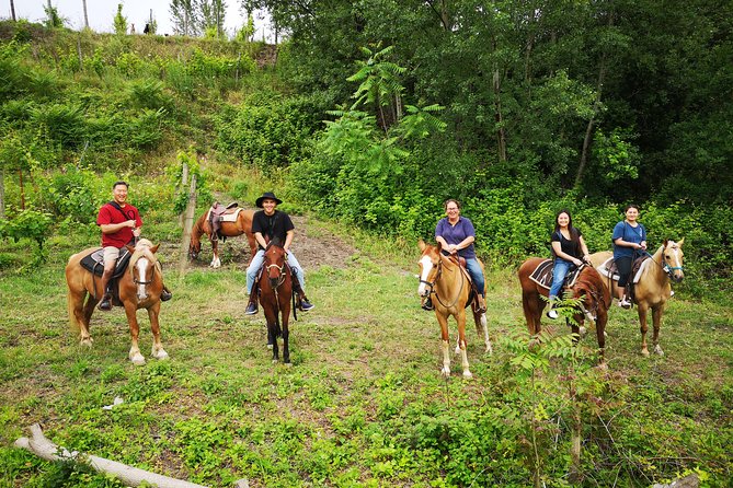 Pompeii Guided Tour & Horse Riding on Vesuvius with Lunch - Price and logistics: what you’re paying for, and how the day runs
