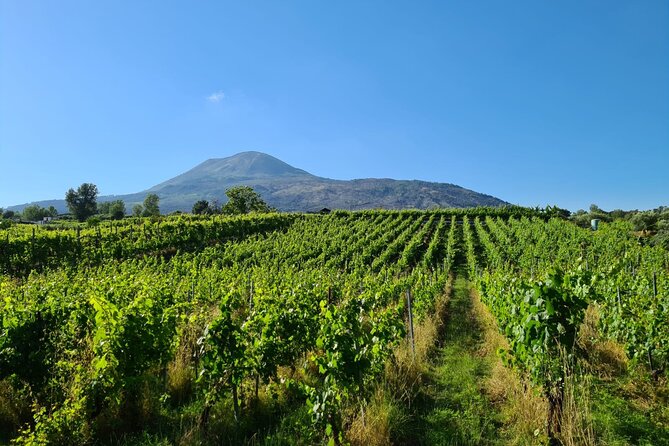 Pompeii Guided Tour & Lunch with Superior Wine Tasting - Pompeii Footwork: What to Wear and How to Stay Comfortable