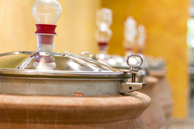 Pompeii Guided Tour & Lunch with Superior Wine Tasting - The Wine Part Isn’t Always the Same: One Winery vs Two