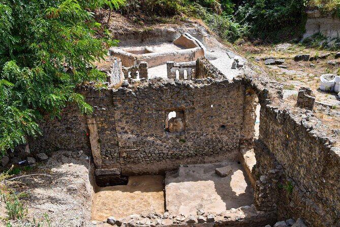 Pompeii Guided Tour & Lunch with Superior Wine Tasting - How the Timing Works: 4 Hours 30 Minutes Without Feeling Rushed