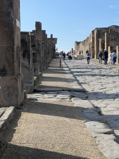 Pompeii: Guided Tour & Skip the Line Ticket - Entering Pompeii Faster With Skip-the-Line Tickets