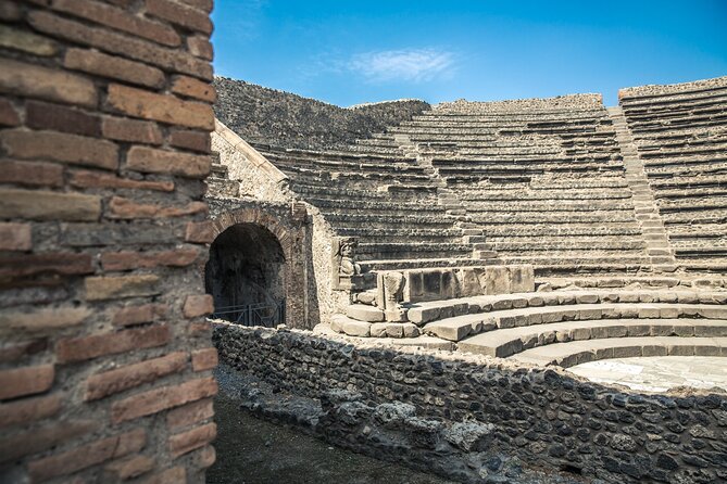 Pompeii: Guided Tour with Priority Entrance - House of the Faun mosaics: art that tells a story