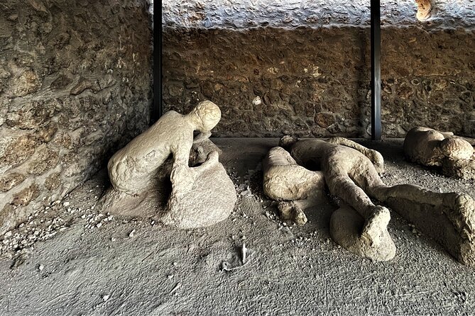 Pompeii Guided Tour with Skip the Line Entry - Your guide: where the tour really comes alive
