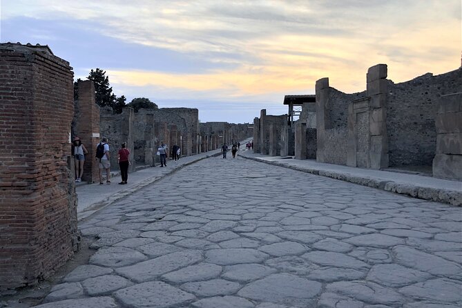 Pompeii Guided Tour with Skip the Line Entry - Logistics that matter: tickets, mobile entry, and English