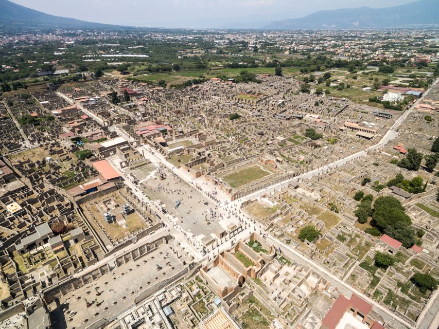 Pompeii, Herculaneum, and Vesuvius: Full-Day Tour - How Skip-the-Line Entry Changes the Value