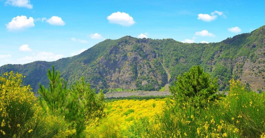Pompeii, Herculaneum and Vesuvius Tour - Key Points You’ll Care About