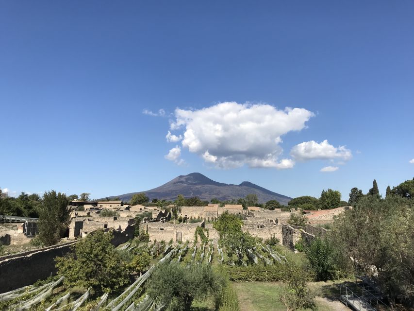 Pompeii & Herculaneum Private Skip-the-Line Tour with Ticket - Entering Pompeii: the ticket, the flow, and what to look for