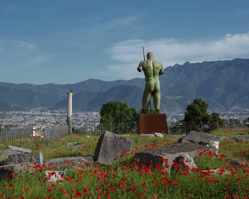 Pompeii & Herculaneum: Skip-the-line & Digital Guide App - Walking to Pompeii Ruins Fast (No Waiting, Just Going)