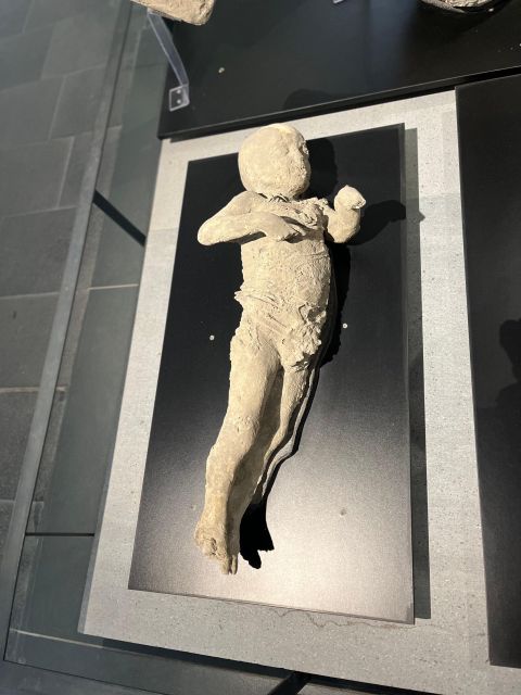 Pompeii in 2h and 30mnt: walk with local guide - The Eruption Story: Seeing the Victims Up Close