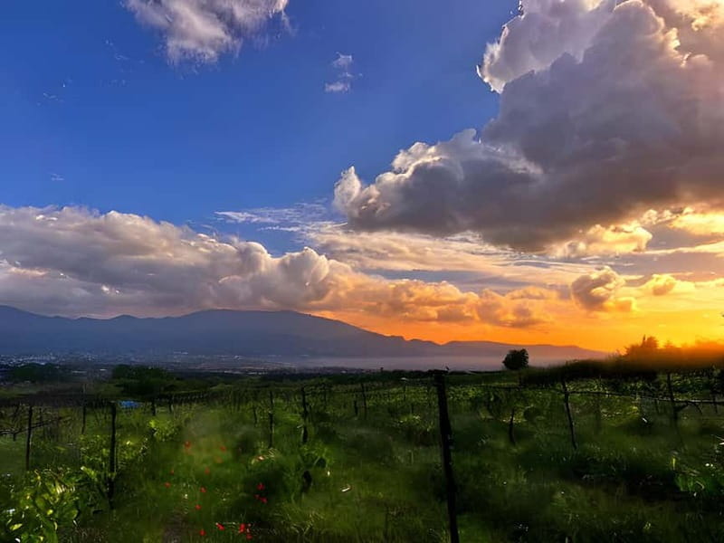Pompeii: Mount Vesuvius Night Horseback Ride and Italian BBQ - Key Highlights You’ll Actually Feel During the Evening