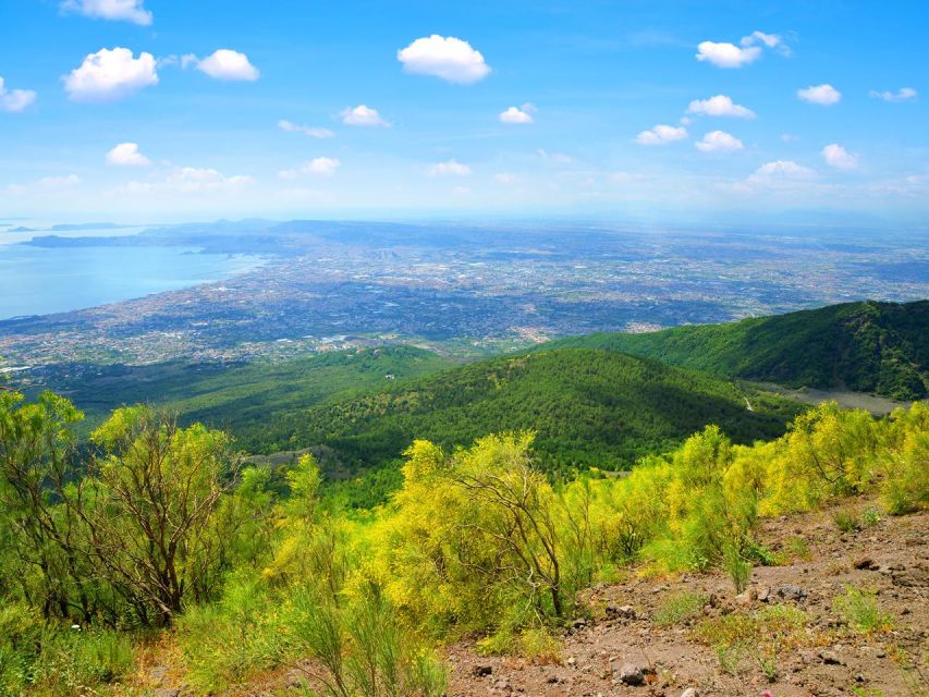 Pompeii: Mount Vesuvius Park Entry Ticket and Transfer - What’s Not Included: Plan Your Personal Comfort