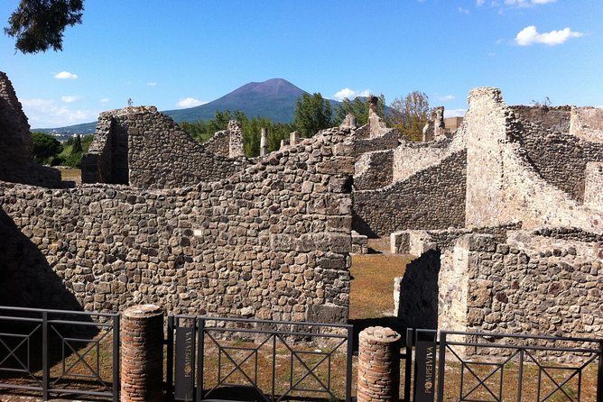 Pompeii Private Half-Day Tour from: Naples,Sorrento, Amalfi Coast - Two hours inside: houses, shops, squares, and the parts people forget