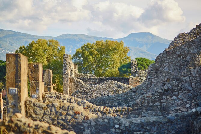 Pompeii Private & Personalized Tour with archeology expert guide - Value check: what $203.70 per person buys you